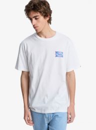 Quiksilver EV STARFISH STAMP SS