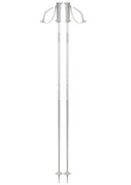 Salomon Polar Access