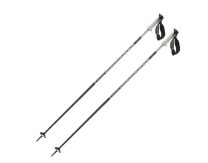 Salomon Polar Pro S3